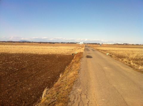 １．３キロ地点付近
利根川の川岸の土手に行くまでかなーりあります。
左に見えるのが筑波山