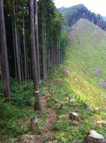 市道山までのコース