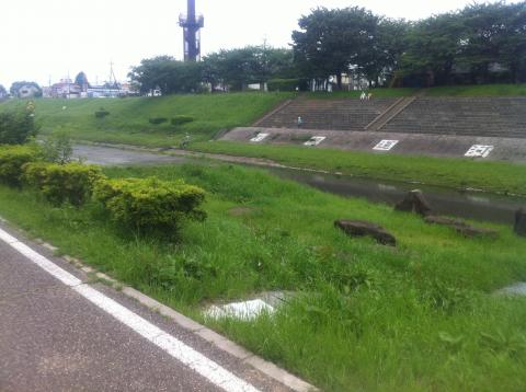 利根運河（利根川と江戸川を結ぶ片道７キロ）