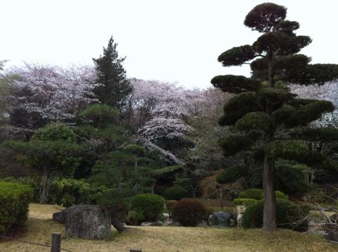 あけぼの山公園：日本庭園