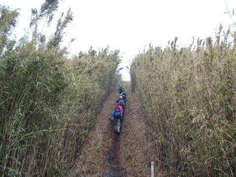 湘南オヤジプレゼンツ「箱根外輪山登山」珍道中