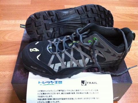 INOV8　ROCLITE295