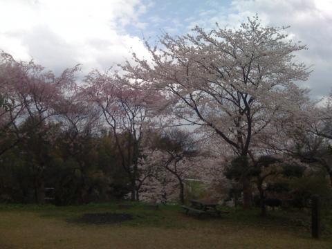 偶然見つけた利根川河川敷の神社から