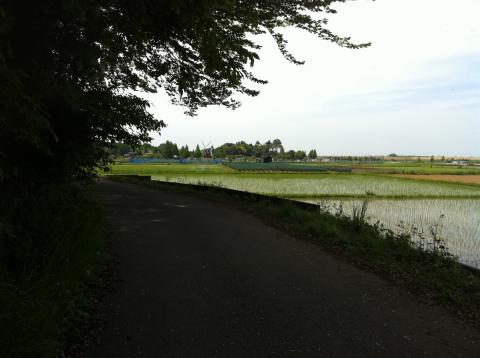 極力木陰を探してあけぼの山公園へ。
風車見えますかね？