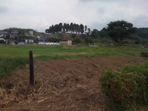 あとで、あの丘の「高野山桃山公園」に行こう！