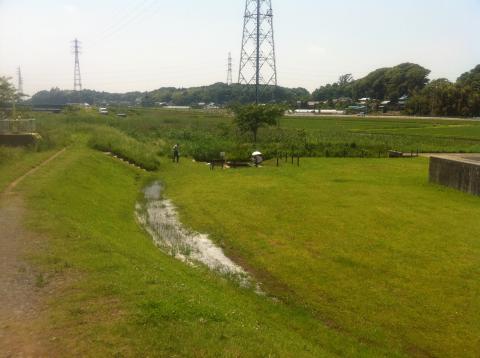 TeganuMANお気に入り用水路釣り場
現在、リハビリ中のTeganuMANさんはここくればお逢いできますよん。