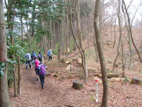 湘南オヤジプレゼンツ「箱根外輪山登山」珍道中