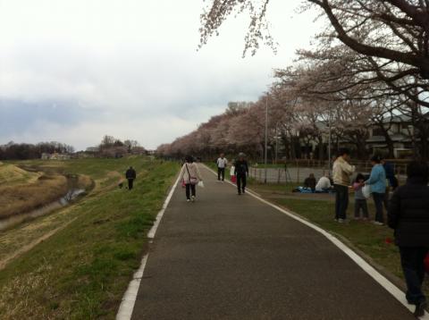 利根運河