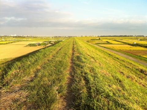 大好きな河川敷不整地。
この時期、バッタがうようよしております。
裸足ランは要注意。犬のう○ちがたまに落ちてます♪～(￣。￣)