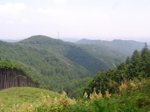 ハセツネ後半コース試走