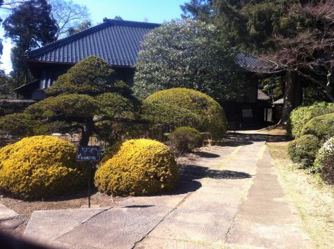 「茶房かやの木」　いい感じ