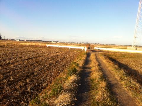 田んぼあぜ道