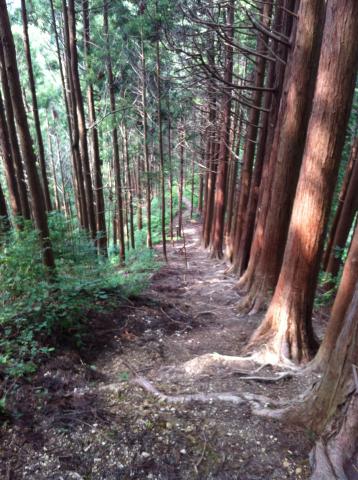 市道山までのコース
いやらしいほどに4回ほど大きなアップダウンがあり萎えます