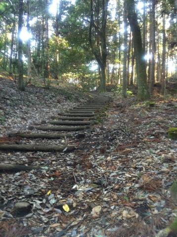 手賀の丘公園　フカフカトレイル