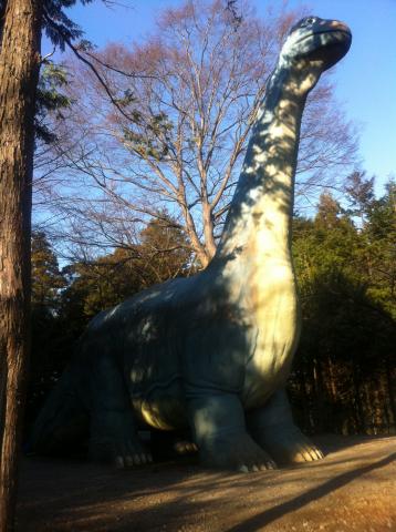 手賀の丘公園の怪獣テッシー君（本当の名前はしらん）
背中がすべり台になっとる