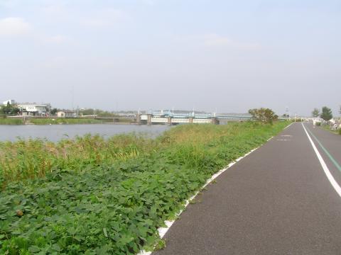 30.約１０キロ地点。ようやく南側東コース緑道が終わる。
橋（曙橋）を渡れば、手賀沼フィッシングセンター