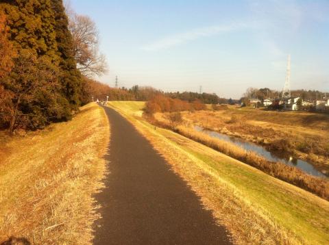 ソフトボール練習前に利根運河ジョグ