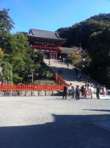 鶴岡八幡宮