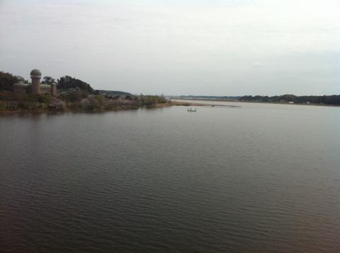 手賀沼大橋
四季折々色んな景色を見せてくれる