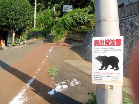 駅から10分程で登山口という便利さだが、嫌な看板・・。
熊は遭遇しませんでしたが、蛇はいました。