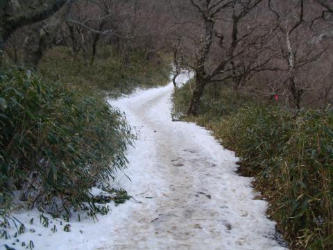 山頂付近は残雪・・。ビブラムで足濡れて、指つめたーい