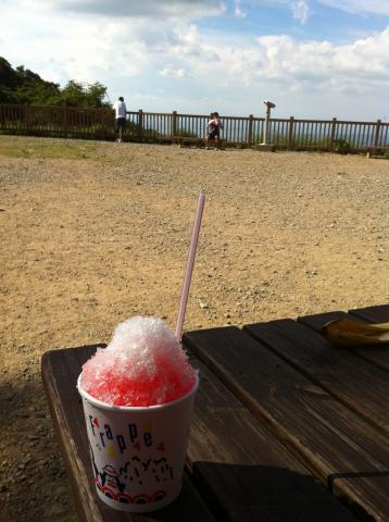 高尾山　景信山のカキ氷と同スペック？　300円也