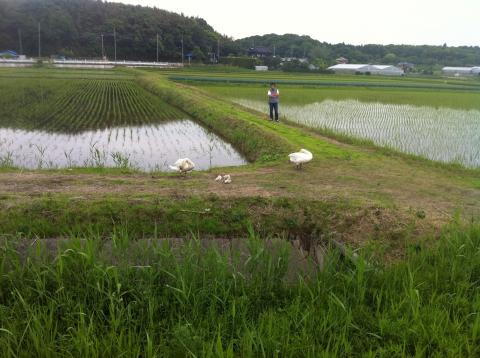 平日昼間の手賀沼ゆったりジョグ