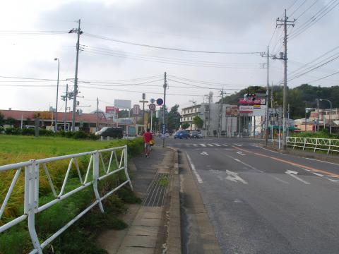 42.約16キロ地点。おし。ここの信号を左折すれば手賀沼大橋。
　　（前半は向こう側から信号右折で手賀沼大橋を渡ったところ）