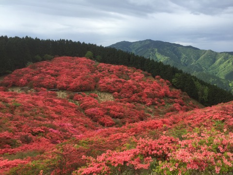 晴れてたらもっと綺麗だつたかな