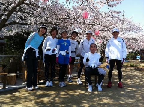 上牧町泉台の桜。
提灯も有りました。