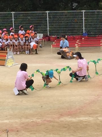 障害物競走。輪潜りはできるかな