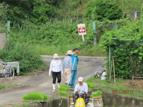 田植え風景
家族総出で田植えの真っ最中でした。もうそｺｼアングルを下死すべきでした。かわいい田植え機がお見せできませんでした。