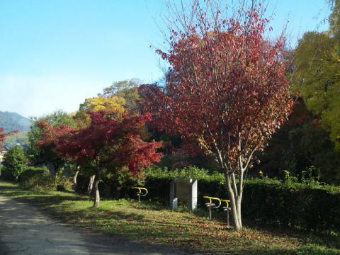 県立竜田川公園の紅葉