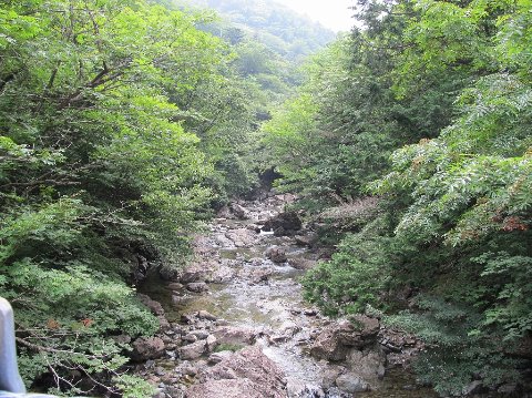 シオカラ谷の清流