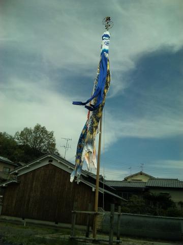 斑鳩町の空に泳いでいた鯉のぼり。（残念ながら撮影時は風が途切れていました）