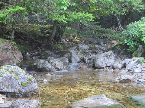 中の谷の清流・・・冷めたくおいし水でした