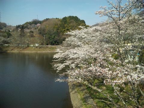 とっくり湖の湖畔に映える桜（写真には映ってはいませんが）がきれいでした。