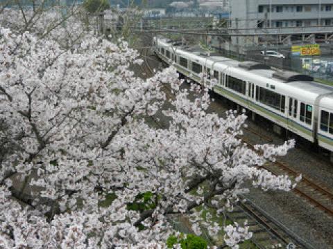 通称：機関車公園