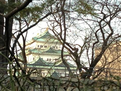 5時前に名古屋城へ、閉館まじかで入場できませんでした。遠くから夕日に映える金の鯱鉾を眺めてきました。