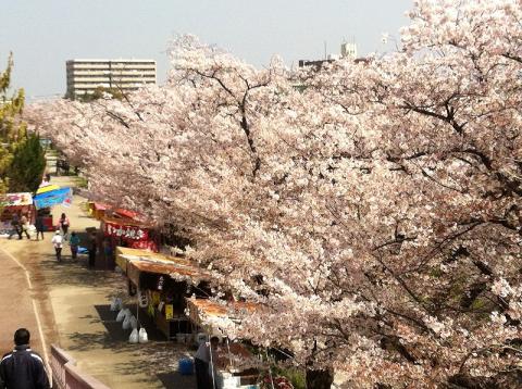 大勢の人で賑わっていました