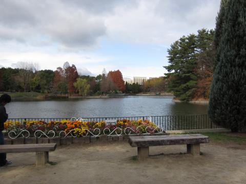 南公園その３。かつては、この人工池の向こうに夏、花火が上がっていた。最近は危険なので禁止されたみたいです。