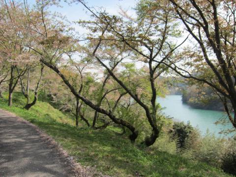 中間地点近くの池。