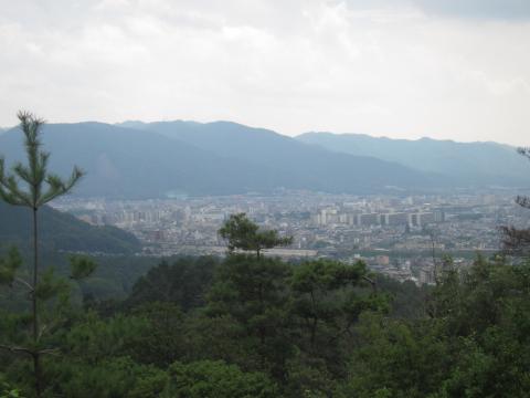 登り切ると、こんな景色が(^-^) startの山科駅が見えました。