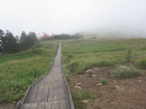 美ヶ原美術館の横の木の道。走ってはいけません。15:58