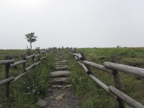 こんな階段を上って・・・（まだ歩行区間です）。15:54