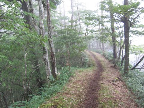 こんな走りやすい道や・・・13:42