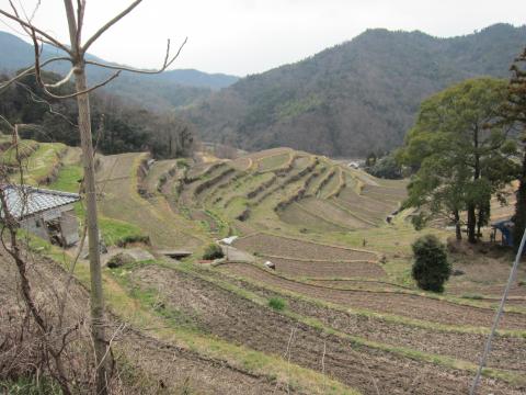 左の家みたいなのは、野菜の水洗い場です。このときも、誰かが洗ってられました。