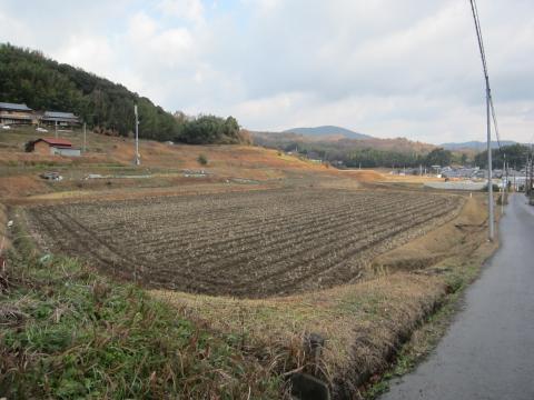 彩都西駅の少し先。お気に入りの、のどかな場所。