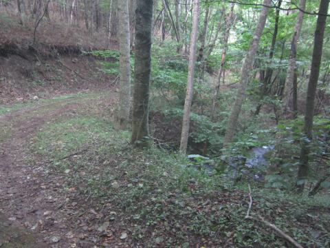 普通の道になり、ようやく走れます！途中から川と平行していて、水の音が心地よかったです。・・・でも、長かった。17:24