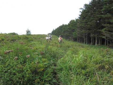 まだ昇ります。草をわけての上りでした。10:46